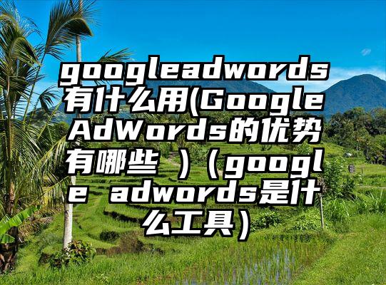 googleadwords有什么用(GoogleAdWords的优势有哪些 )（google adwords是什么工具）