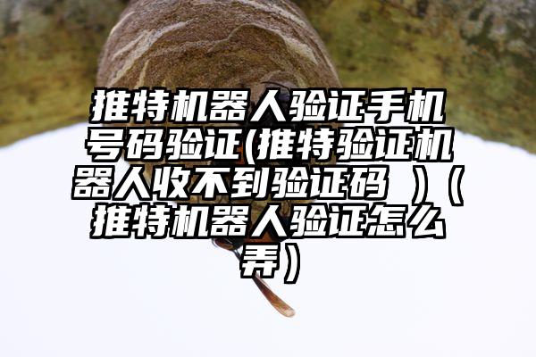 推特机器人验证手机号码验证(推特验证机器人收不到验证码 )（推特机器人验证怎么弄）