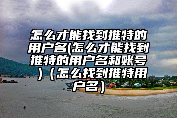 怎么才能找到推特的用户名(怎么才能找到推特的用户名和账号 )（怎么找到推特用户名）