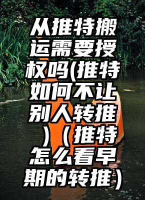 从推特搬运需要授权吗(推特如何不让别人转推 )（推特怎么看早期的转推）