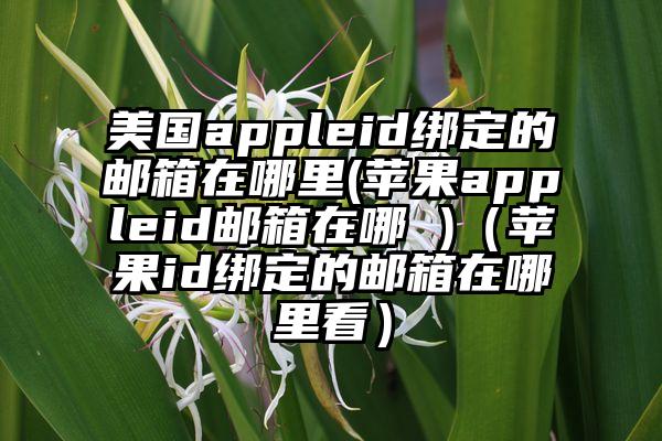 美国appleid绑定的邮箱在哪里(苹果appleid邮箱在哪 )（苹果id绑定的邮箱在哪里看）