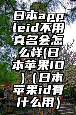 日本appleid不用真名会怎么样(日本苹果iD )（日本苹果id有什么用）