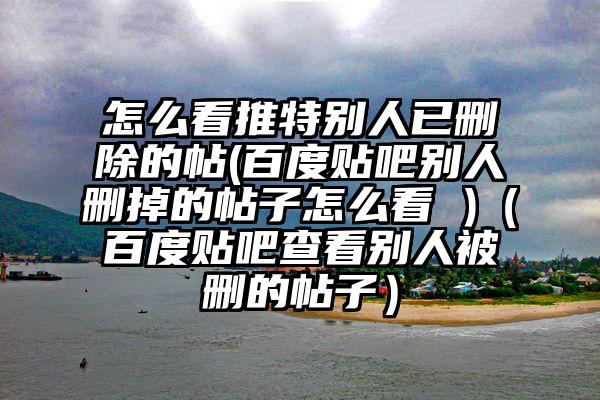 怎么看推特别人已删除的帖(百度贴吧别人删掉的帖子怎么看 )（百度贴吧查看别人被删的帖子）