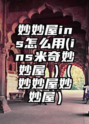 妙妙屋ins怎么用(ins米奇妙妙屋 )（妙妙屋妙妙屋）