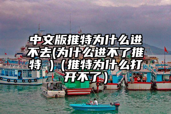 中文版推特为什么进不去(为什么进不了推特 )（推特为什么打开不了）
