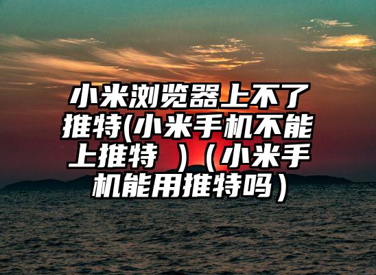 小米浏览器上不了推特(小米手机不能上推特 )（小米手机能用推特吗）