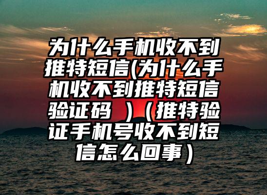 为什么手机收不到推特短信(为什么手机收不到推特短信验证码 )(推特验证手机号收不到短信怎么回事)
