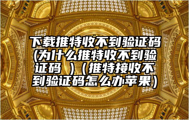 下载推特收不到验证码(为什么推特收不到验证码 )（推特接收不到验证码怎么办苹果）