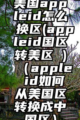 美国appleid怎么换区(appleid国区转美区 )（apple id如何从美国区转换成中国区）