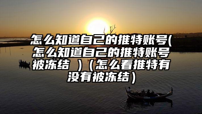 怎么知道自己的推特账号(怎么知道自己的推特账号被冻结 )（怎么看推特有没有被冻结）