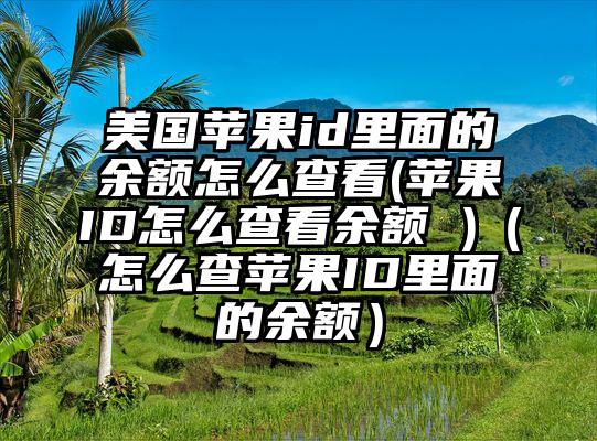 美国苹果id里面的余额怎么查看(苹果ID怎么查看余额 )（怎么查苹果ID里面的余额）