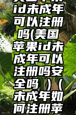美国苹果id未成年可以注册吗(美国苹果id未成年可以注册吗安全吗 )（未成年如何注册苹果ID）