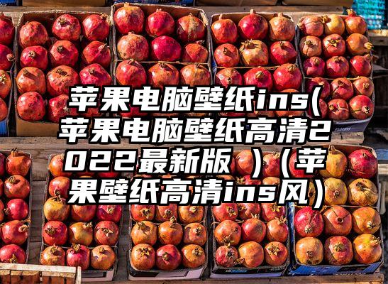 苹果电脑壁纸ins(苹果电脑壁纸高清2022最新版 )（苹果壁纸高清ins风）