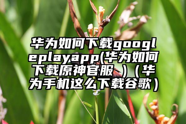 华为如何下载googleplayapp(华为如何下载原神官服 )(华为手机这么下载谷歌)