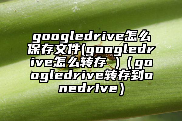 googledrive怎么保存文件(googledrive怎么转存 )（googledrive转存到onedrive）