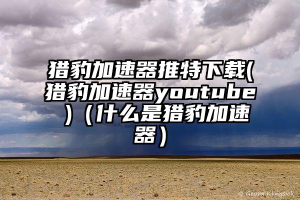 猎豹加速器推特下载(猎豹加速器youtube )（什么是猎豹加速器）