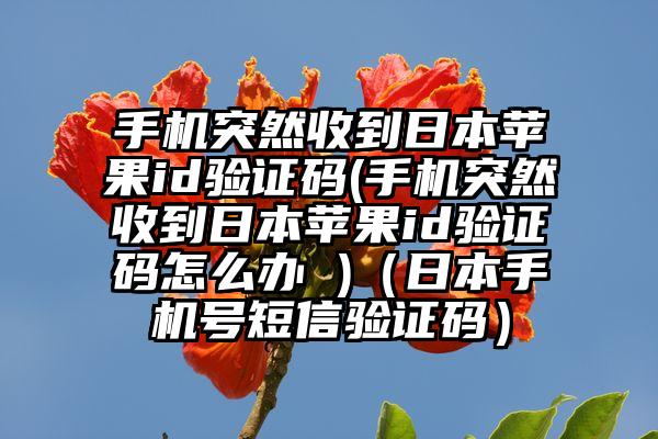 手机突然收到日本苹果id验证码(手机突然收到日本苹果id验证码怎么办 )（日本手机号短信验证码）
