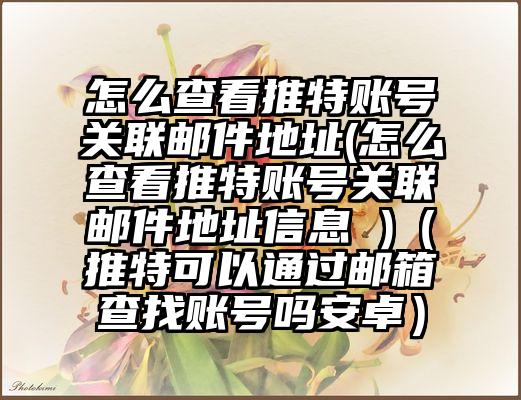 怎么查看推特账号关联邮件地址(怎么查看推特账号关联邮件地址信息 )（推特可以通过邮箱查找账号吗安卓）