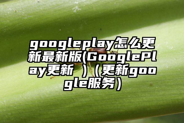 googleplay怎么更新最新版(GooglePlay更新 )（更新google服务）