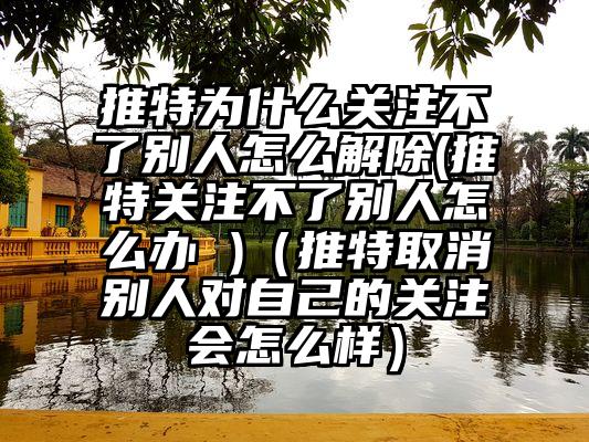 推特为什么关注不了别人怎么解除(推特关注不了别人怎么办 )（推特取消别人对自己的关注会怎么样）