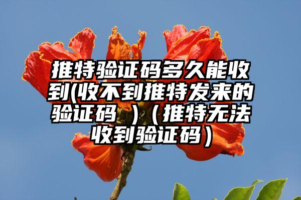 推特验证码多久能收到(收不到推特发来的验证码 )（推特无法收到验证码）
