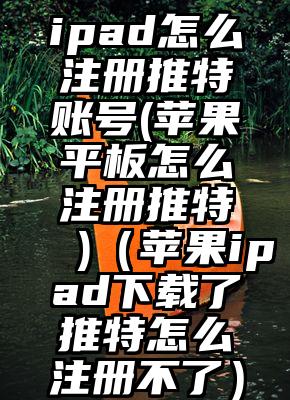 ipad怎么注册推特账号(苹果平板怎么注册推特 )（苹果ipad下载了推特怎么注册不了）