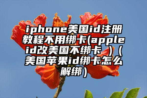 iphone美国id注册教程不用绑卡(appleid改美国不绑卡 )（美国苹果id绑卡怎么解绑）