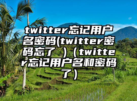 twitter忘记用户名密码(twitter密码忘了 )（twitter忘记用户名和密码了）