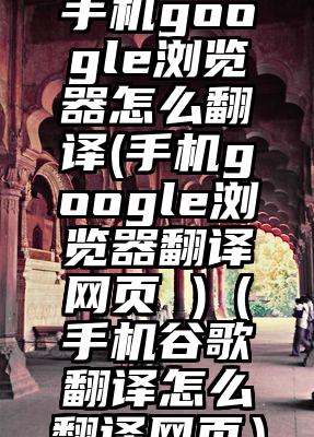 手机google浏览器怎么翻译(手机google浏览器翻译网页 )（手机谷歌翻译怎么翻译网页）