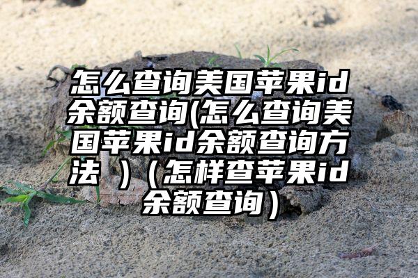 怎么查询美国苹果id余额查询(怎么查询美国苹果id余额查询方法 )（怎样查苹果id余额查询）
