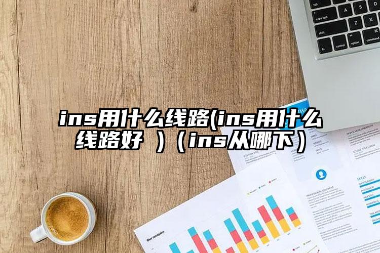 ins用什么线路(ins用什么线路好 )（ins从哪下）