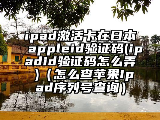 ipad激活卡在日本appleid验证码(ipadid验证码怎么弄 )（怎么查苹果ipad序列号查询）