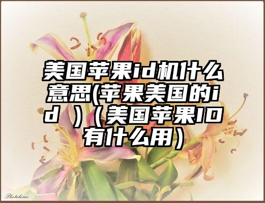 美国苹果id机什么意思(苹果美国的id )（美国苹果ID有什么用）
