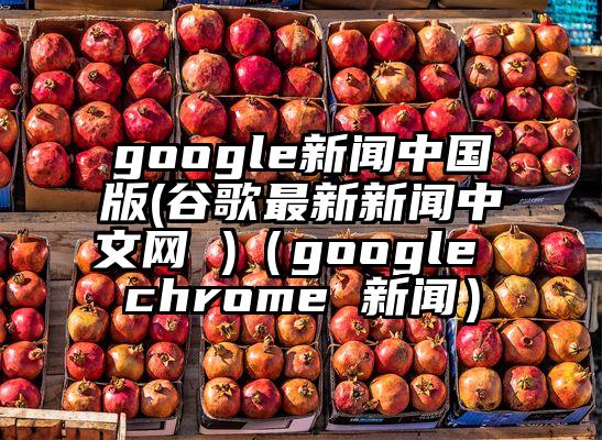 google新闻中国版(谷歌最新新闻中文网 )（google chrome 新闻）