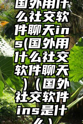 国外用什么社交软件聊天ins(国外用什么社交软件聊天 )（国外社交软件ins是什么）