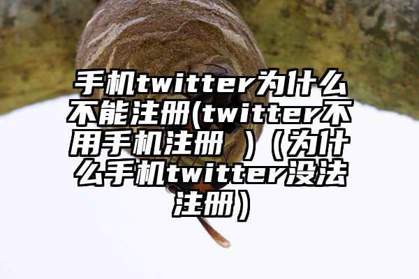 手机twitter为什么不能注册(twitter不用手机注册 )（为什么手机twitter没法注册）