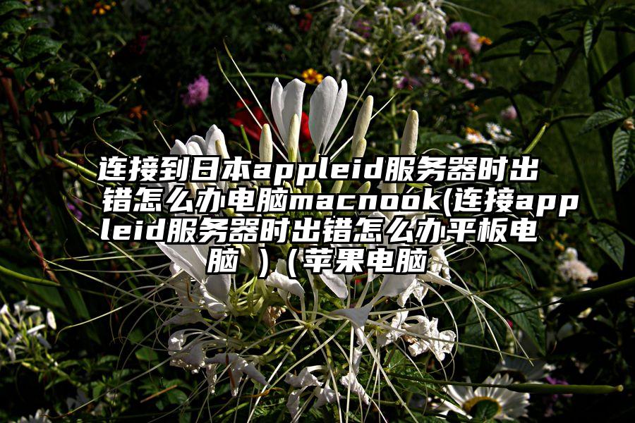 连接到日本appleid服务器时出错怎么办电脑macnook(连接appleid服务器时出错怎么办平板电脑 )（苹果电脑