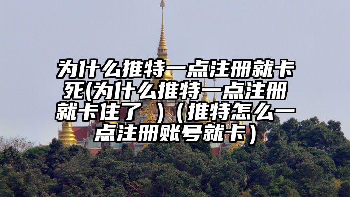 为什么推特一点注册就卡死(为什么推特一点注册就卡住了 )（推特怎么一点注册账号就卡）