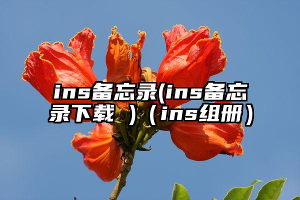 ins备忘录(ins备忘录下载 )（ins组册）