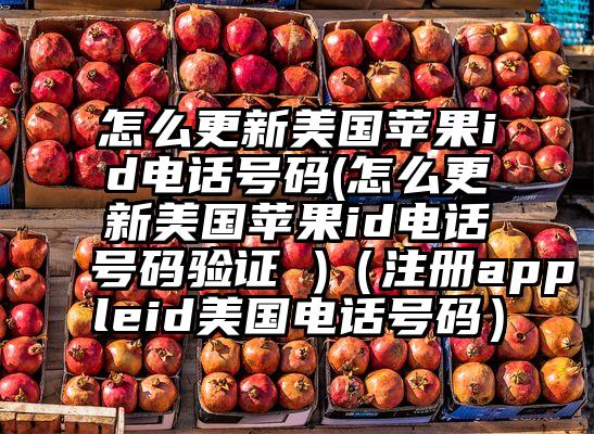 怎么更新美国苹果id电话号码(怎么更新美国苹果id电话号码验证 )（注册appleid美国电话号码）