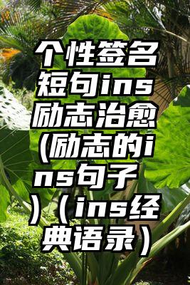 个性签名短句ins励志治愈(励志的ins句子 )（ins经典语录）