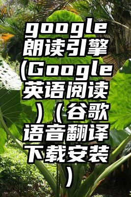 google朗读引擎(Google英语阅读 )（谷歌语音翻译下载安装）