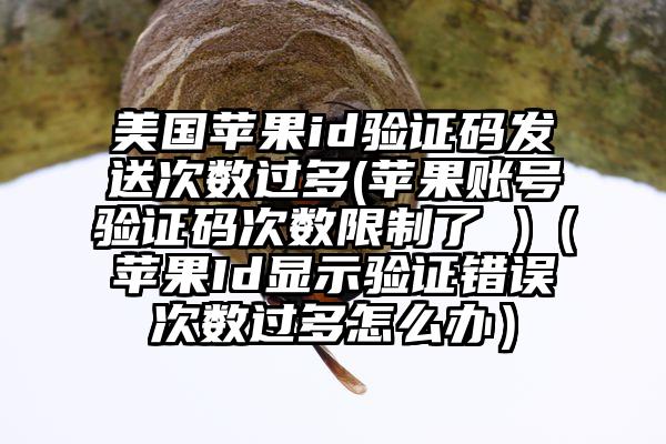 美国苹果id验证码发送次数过多(苹果账号验证码次数限制了 )（苹果Id显示验证错误次数过多怎么办）