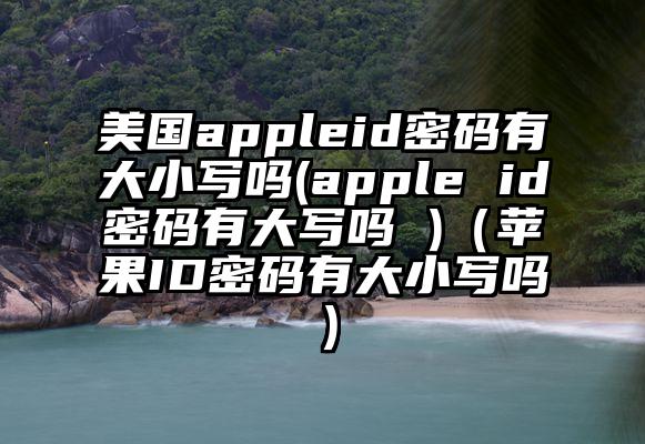美国appleid密码有大小写吗(apple id密码有大写吗 )(苹果ID密码有大小写吗)