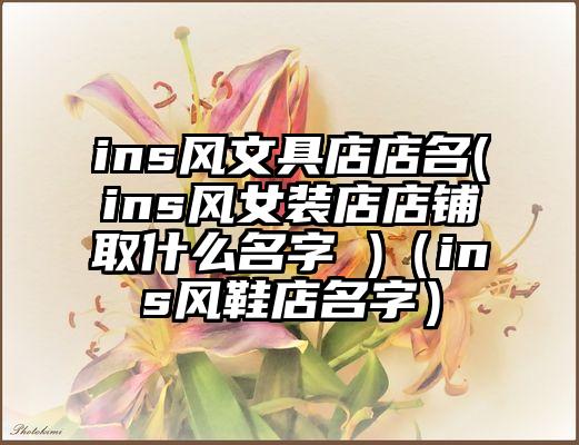 ins风文具店店名(ins风女装店店铺取什么名字 )（ins风鞋店名字）