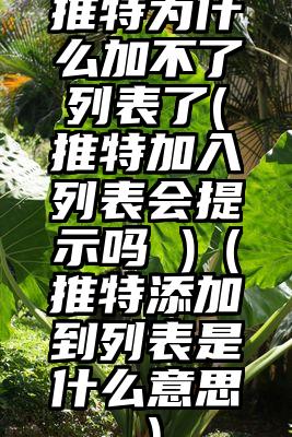 推特为什么加不了列表了(推特加入列表会提示吗 )（推特添加到列表是什么意思）
