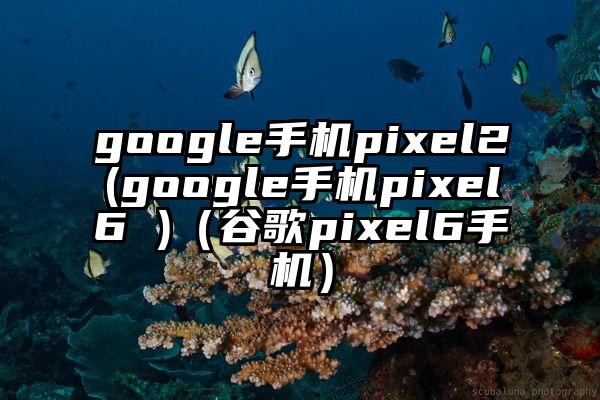 google手机pixel2(google手机pixel6 )（谷歌pixel6手机）