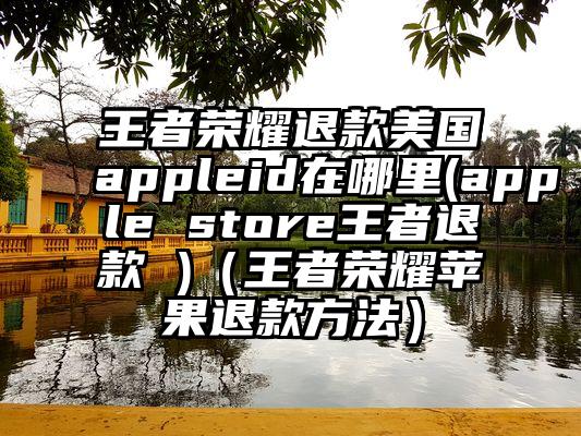 王者荣耀退款美国appleid在哪里(apple store王者退款 )（王者荣耀苹果退款方法）