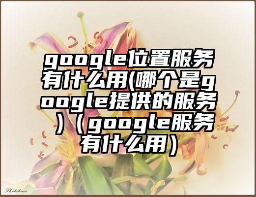 google位置服务有什么用(哪个是google提供的服务 )（google服务有什么用）