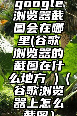 google浏览器截图会在哪里(谷歌浏览器的截图在什么地方 )（谷歌浏览器上怎么截图）